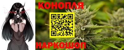 гидра Краснодар