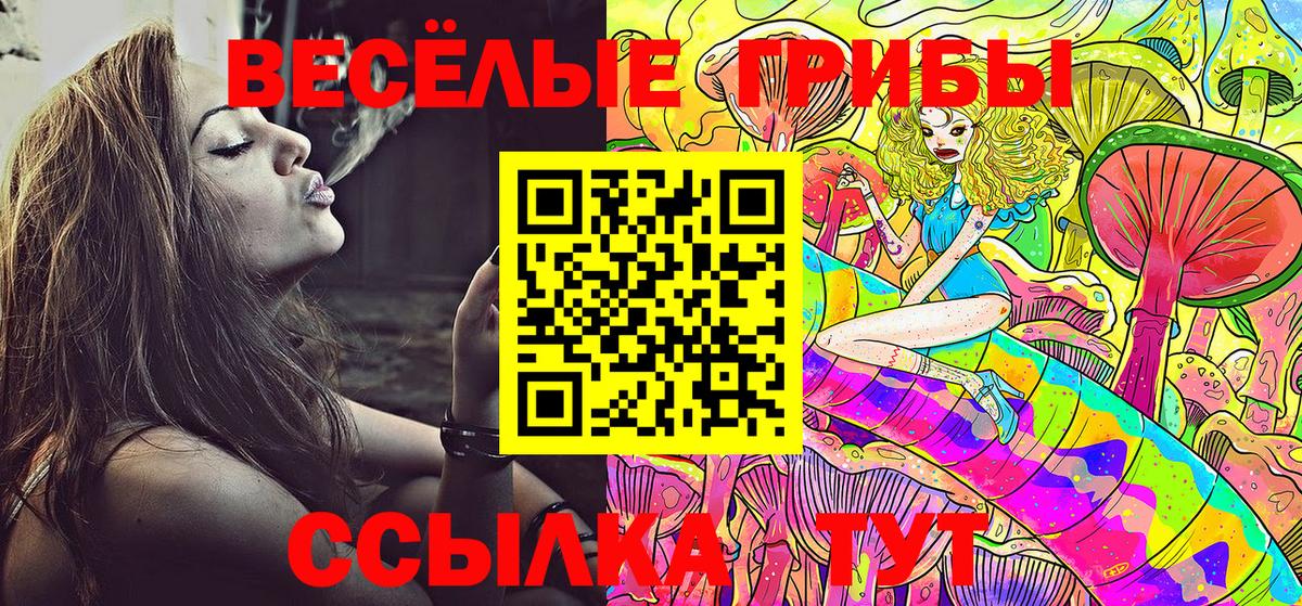 Псилоцибиновые грибы прущие грибы Ликино-Дулёво